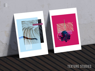 Texture Studies animals color personal project poster design texture