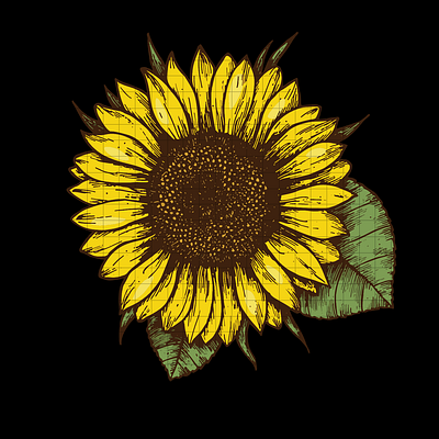 Sunflower svg, png design by me design illustration logo vector