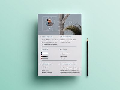 Free Personal Resume Template design free cv free cv template free resume free resume template freebie freebies resume