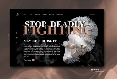 Betta Fish online guide - UX/UI Concept Page Design design illustration photoshop ui ux website website design