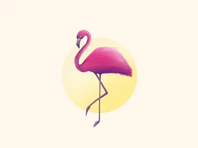 Flamingo art designs drawings flamingos illustraion