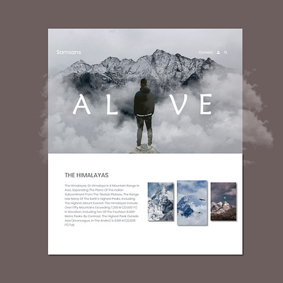 Himalayas branding design designer illustration typography ui ui ux uidesign ux webdesign