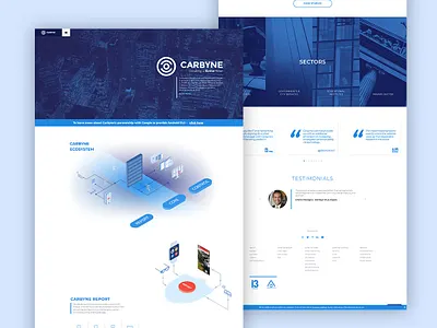 Carbyne business cms development design marketing programming ui ux webdesign website website design