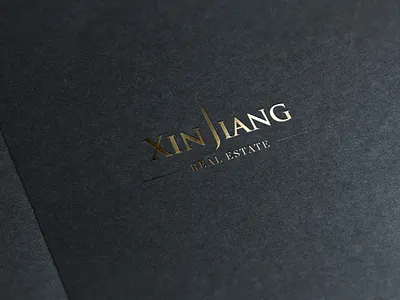 Xin Jiang adobe illustrator graphic design logo design