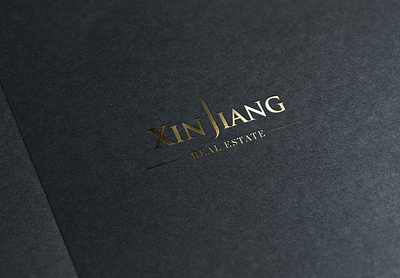 Xin Jiang adobe illustrator graphic design logo design