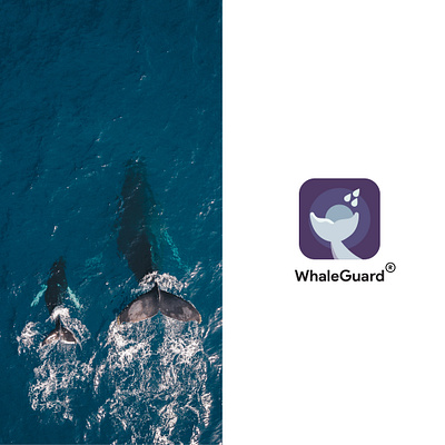 Designing iOS app - WhaleGuard 🐋 daily ui design icon ui ui ux ui 100day ui design ux ux design vector