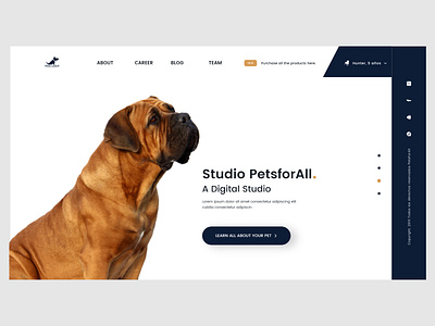 Pet Blog app design flat ui ux web