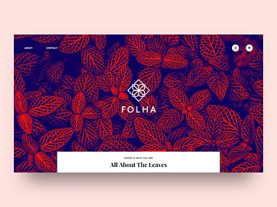 Folha colors header health interaction landing page leaf leaves minimal ui uidesign ux webdesign website