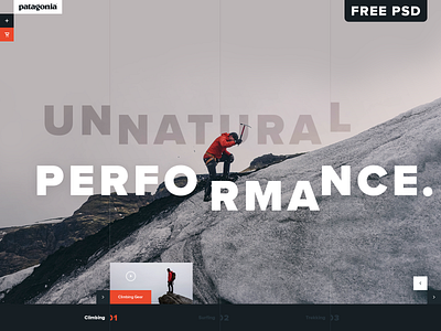 Patagonia Climbing Gear UI Concept color design ecommerce fashion free psd outdoor patagonia psd mockup website