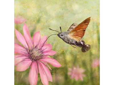 lebeg s 9 digital painting illustration insects levitation nature