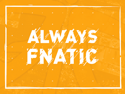 Always Fnatic Poster always design illustration poster vector