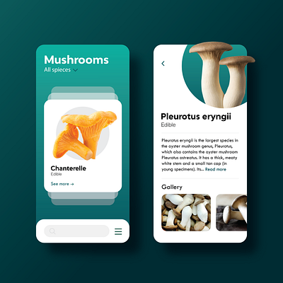 Mushrooms app app design application art brand concept design flat illustration logo minimal mobile app mobile design mushroom simple ui ux vector vector illustration website