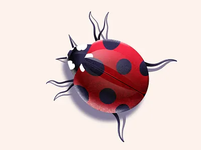 Lady Beetle 2d 3d dimensional illustration insect insects lady beetle ladybug ladybugs procreate realism realistic small tiny