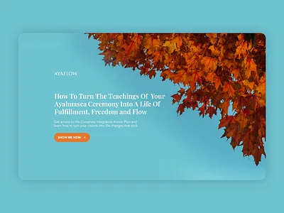 Shot 17 design digital online ui ux website