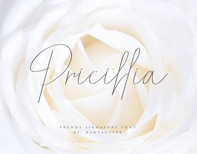 Pricillia brand branding font font awesome font design lettering logo rantautype type