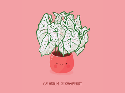 Caladium Strawberry caladium character characterdesign cute design doodle greenplant houseplant illustration jungle leaf pink plant plant illustration plants procreate procreateapp strawberry urban urban jungle