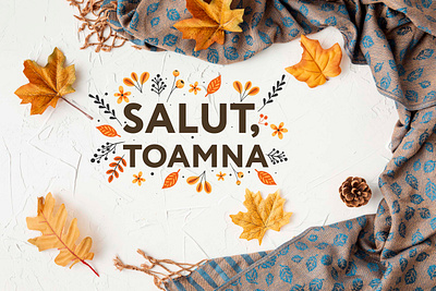 Cromatix Cover Salut toamna 2019 branding chisinau creative cromatix cromatix creative image lab cromatixlab design identity logo typography