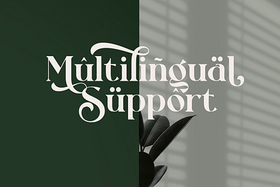 Rollgates Fabulous Font branding design font template typography