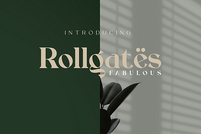 Rollgates Fabulous Font branding design font template design typography