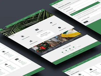 Social informational portal accessibility cards cards ui green homepagedesign search slider social ui web