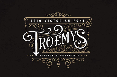 Troemys Font Trio and extras display fonts fonts handwritten lettering vintage font