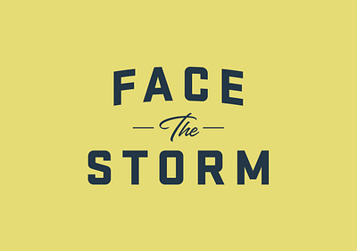 Face the Storm ad apparel badge brand identity brand merch branding buffalo graphic design hat logo shirt shirt design storm swag typography