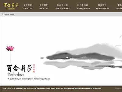 Baihelisa 2010 verzdesign webdesign