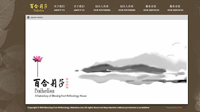 Baihelisa 2010 verzdesign webdesign