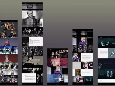 Conceptual Design of Garment Website