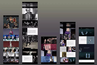 Conceptual Design of Garment Website