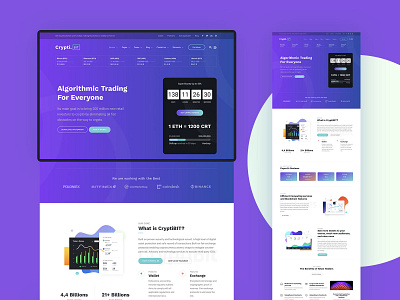 CryptiBIT bitcoin business corporate crypto landing minimal template themeforest ui ux web webdesign wordpress