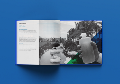 CASS Annual Report annual report blue book book design columns creative design design editorial design filter graphic design hand illustration layout exploration page layout pages report sanitation water water solution