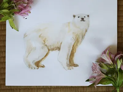 White bear art bear beautiful design illustraion sketch watercolor