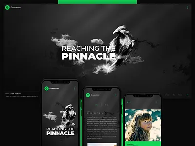 Createntropy Web UI/UX agency art branding characters clean creative illustration logo uiux webdesign