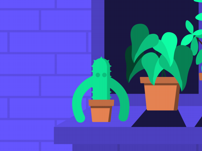 Cactus aftereffects cactus duik escape illustration illustrator motiongraphics rigging rubberhose