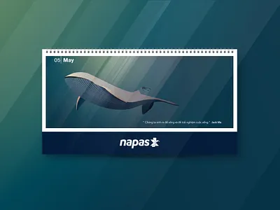 NAPAS Calendar 2018 calendar color design diving flat illustration illustration