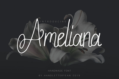 Ameliana design display display font display type display typeface font font awesome font design font family fonts hand drawn handwritten font script script font