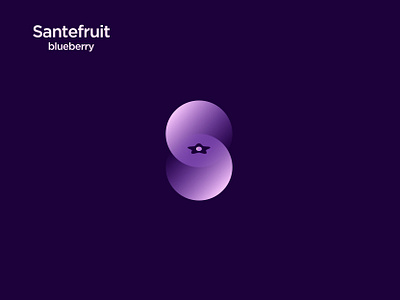 Unused Logo Proposal blueberry brand identity branding design designer india lalit logo logo design logo designer logodesign print s santefruit