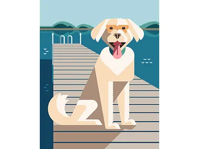 Ruby Portrait art artwork design dog modern portrait vector