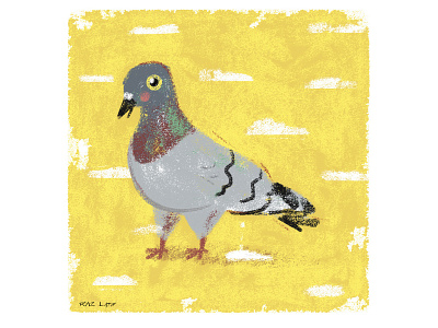 Pigeon animal art bird design digital illustration mixed media pastel photoshop texture