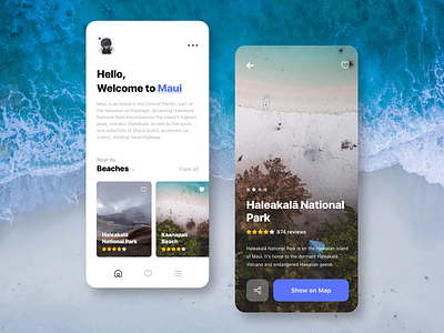 Explore Hawaii app app design explore hawaii travel typography ui ux