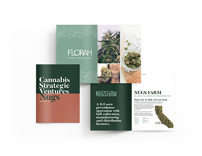 Cannabis Strategic Ventures Brand Brochure brochure design design identity print design