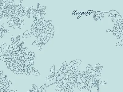 Monika Hibbs Desktop Series - August adobe august blue design desktop desktop wallpaper digital flower hydrangeas illustration illustrator photoshop