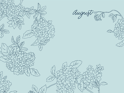 Monika Hibbs Desktop Series - August adobe august blue design desktop desktop wallpaper digital flower hydrangeas illustration illustrator photoshop