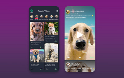 Social Network for Pets animal app app design design dog dogs love pets social social app social network socialmedia ui uiux uxui video