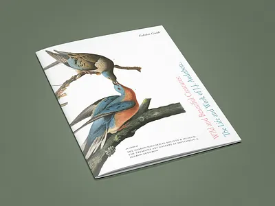Wild and Beautiful Creatures — Exhibit Guide audubon birds booklet branding exhibit design print typography volunteer