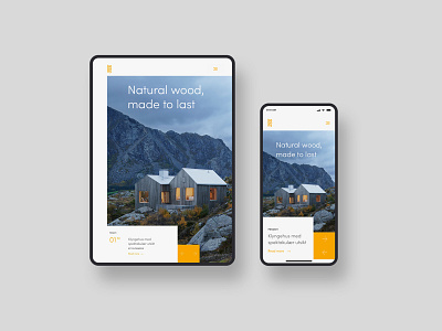 Kebony branding design logo web web design website