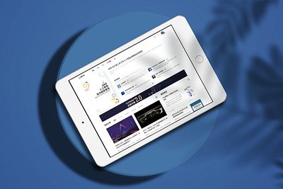 website design - Pro article product ui website