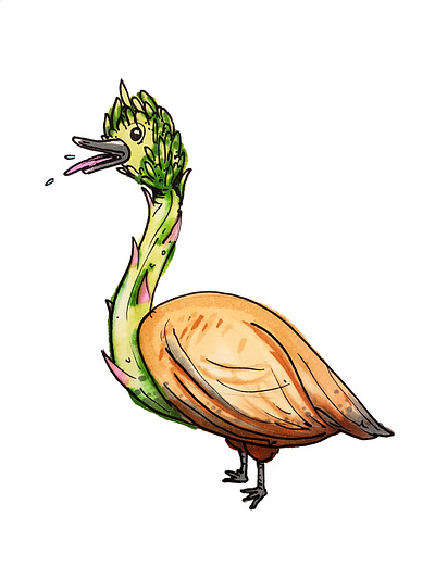 Asparagoose colour illustration pen sticker