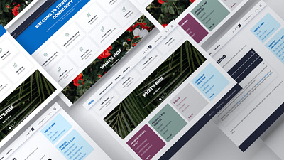 Social informational portal accessibility blue cards design green homepage lists search bar ui